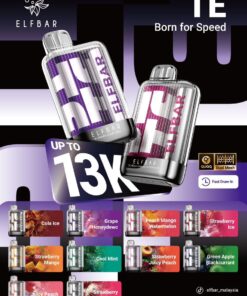 elf bar te13000 puffs india