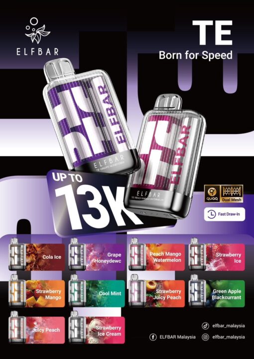 elf bar te13000 puffs india